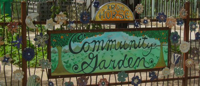 Community Gardens Focused On Tucson